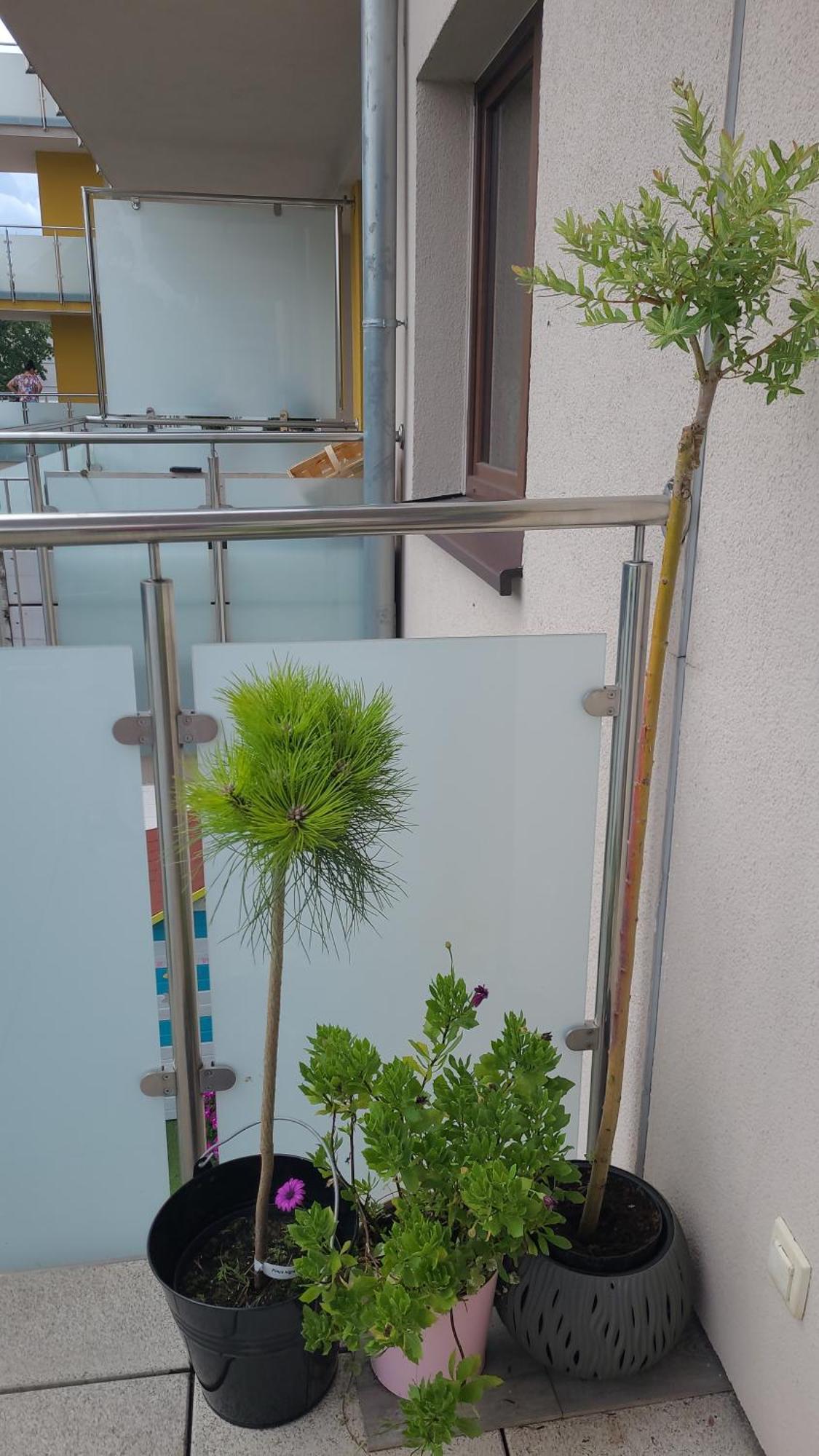 Apartament Lilla เยเลเนียกูรา ภายนอก รูปภาพ